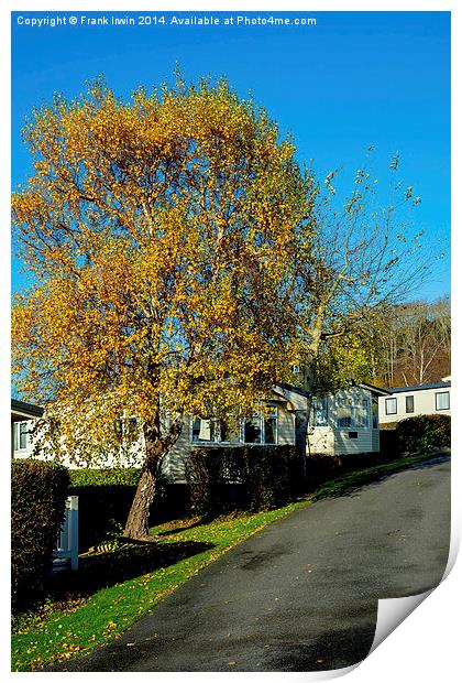  Autumnal colours in a Welsh caravan park Print by Frank Irwin