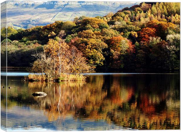 Rydal Water Canvas Print by Susan Tinsley