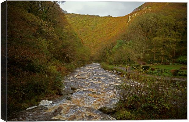 Autumn at Watersmeet  Canvas Print by graham young