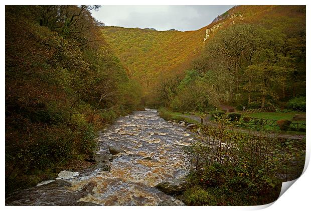 Autumn at Watersmeet  Print by graham young