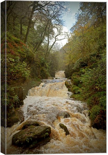 Watersmeet Falls  Canvas Print by graham young