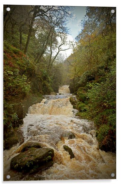 Watersmeet Falls  Acrylic by graham young