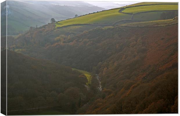 Exmoor in the autumn Mist  Canvas Print by graham young