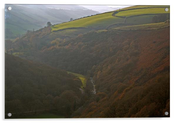 Exmoor in the autumn Mist  Acrylic by graham young