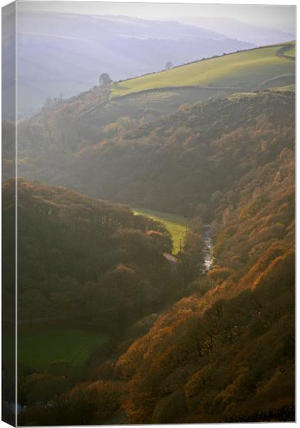 Autumn mist on Exmoor  Canvas Print by graham young