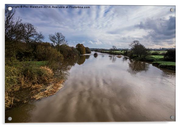  River Stour, Pamphill, Dorset Acrylic by Phil Wareham