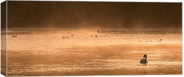  On Golden Pond Canvas Print by Mike Stephen
