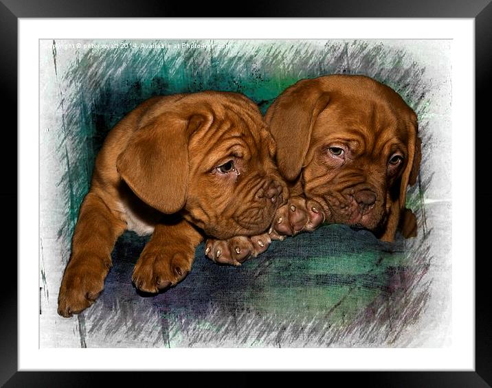  Brothers Framed Mounted Print by peter wyatt