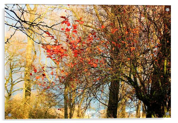  Autumn Leaves Acrylic by Jacqui Kilcoyne