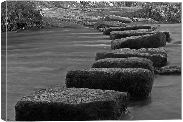 Stepping Stones Canvas Print by allen martin