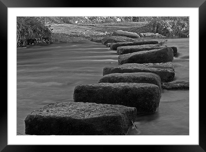 Stepping Stones Framed Mounted Print by allen martin