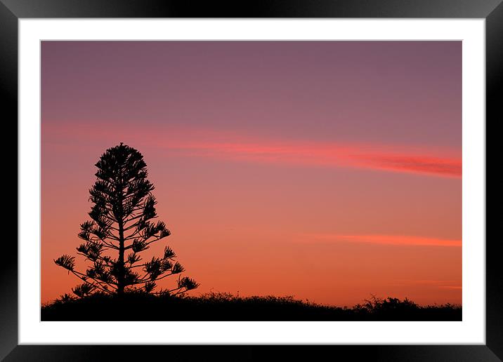 australian sunset Framed Mounted Print by sam mitchell