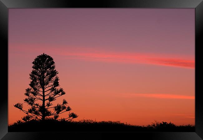 australian sunset Framed Print by sam mitchell