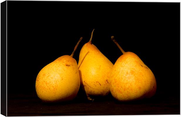 Three Pears Canvas Print by Brian Roscorla