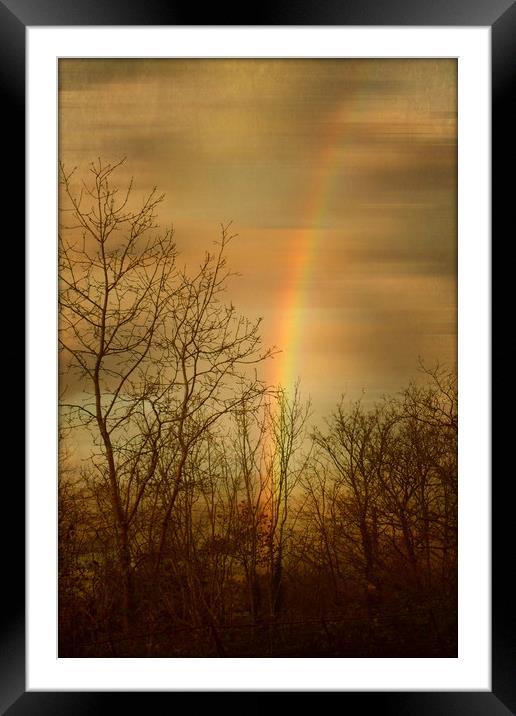  Rainbow Tracery. Framed Mounted Print by Heather Goodwin