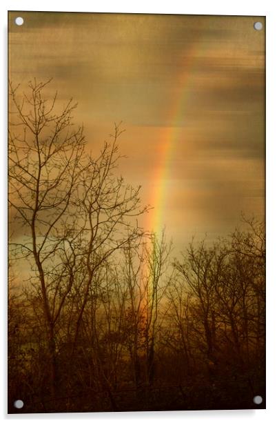  Rainbow Tracery. Acrylic by Heather Goodwin