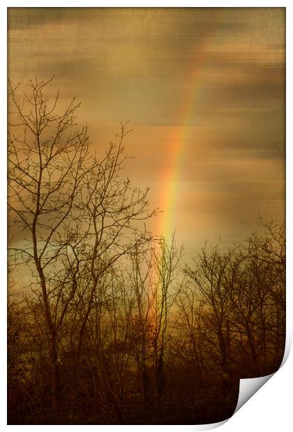  Rainbow Tracery. Print by Heather Goodwin