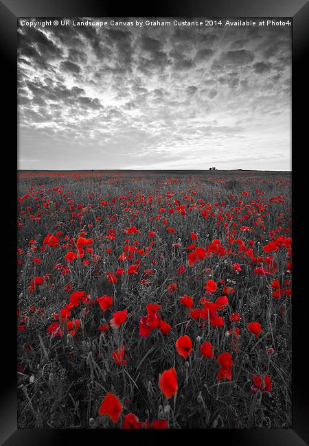  Poppy Field Framed Print by Graham Custance