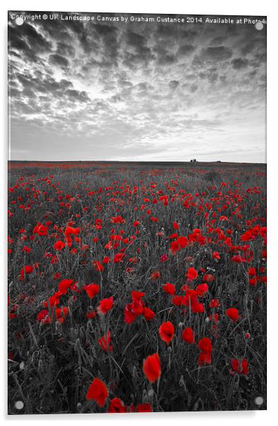  Poppy Field Acrylic by Graham Custance