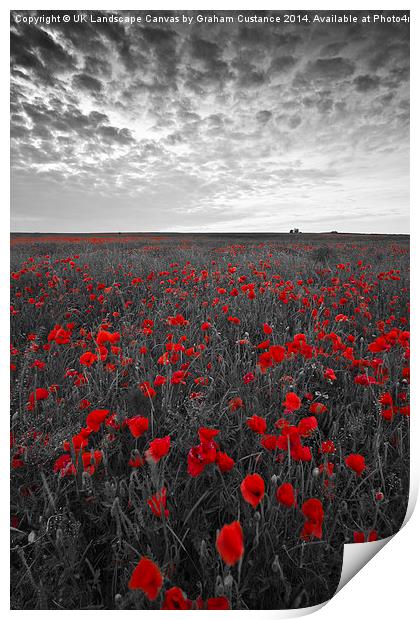  Poppy Field Print by Graham Custance