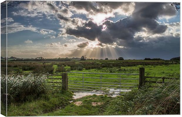  Sun Rays at Somerton Canvas Print by James Taylor