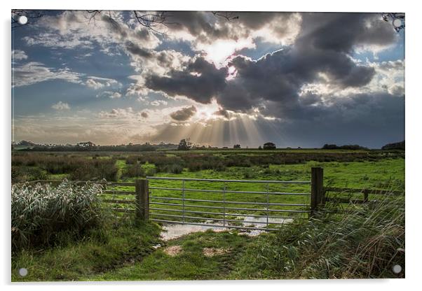  Sun Rays at Somerton Acrylic by James Taylor