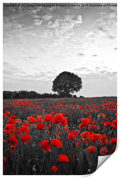  Poppy Field Print by Graham Custance