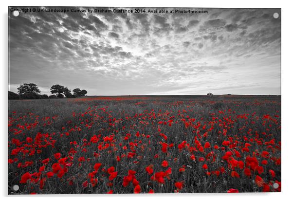  Poppy Field Acrylic by Graham Custance
