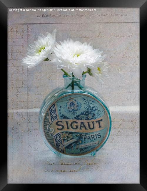  Shabby Chic Crysanthemums Framed Print by Sandra Pledger