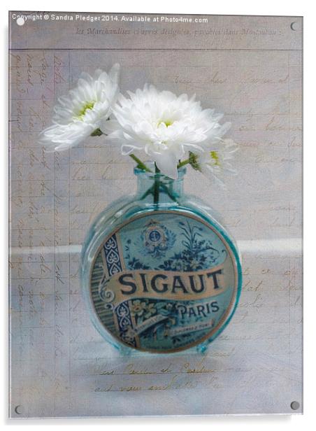  Shabby Chic Crysanthemums Acrylic by Sandra Pledger