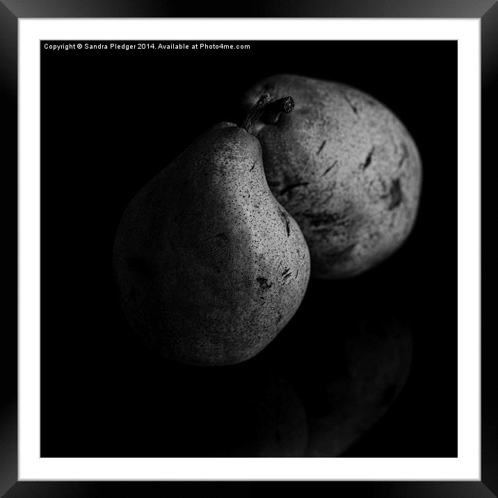  Pears Framed Mounted Print by Sandra Pledger