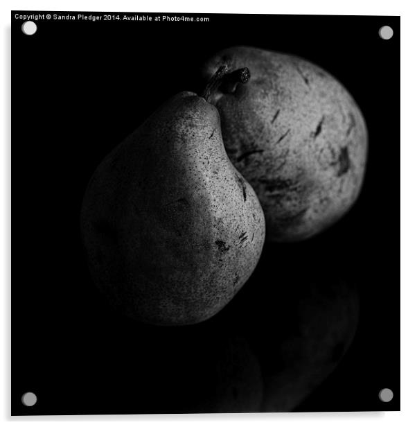  Pears Acrylic by Sandra Pledger
