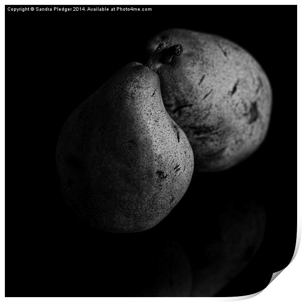  Pears Print by Sandra Pledger