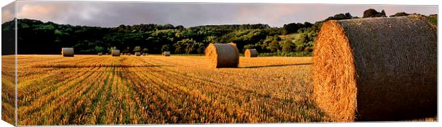 Hay Bales at Dalserf, South Lanarkshire, Scotland  Canvas Print by Donald Parsons