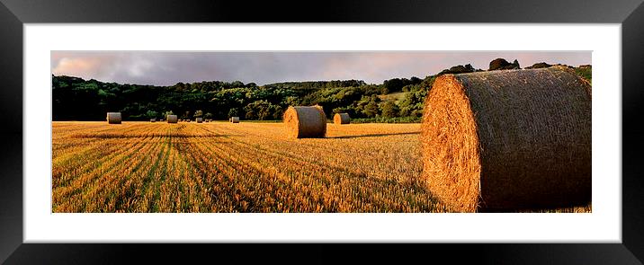Hay Bales at Dalserf, South Lanarkshire, Scotland  Framed Mounted Print by Donald Parsons
