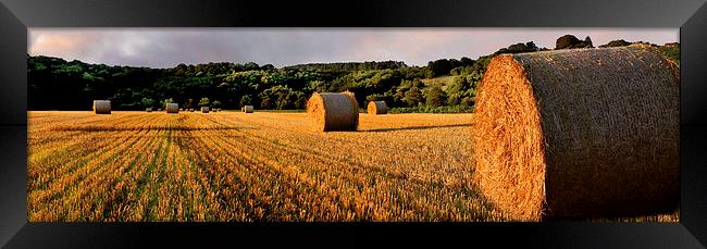 Hay Bales at Dalserf, South Lanarkshire, Scotland  Framed Print by Donald Parsons