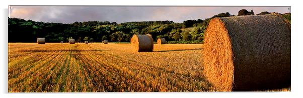 Hay Bales at Dalserf, South Lanarkshire, Scotland  Acrylic by Donald Parsons