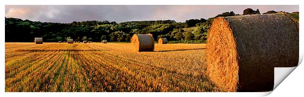 Hay Bales at Dalserf, South Lanarkshire, Scotland  Print by Donald Parsons