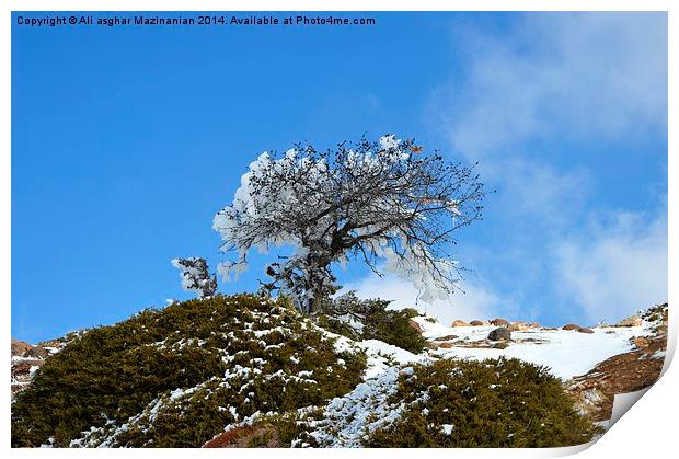 On the mountain, Print by Ali asghar Mazinanian