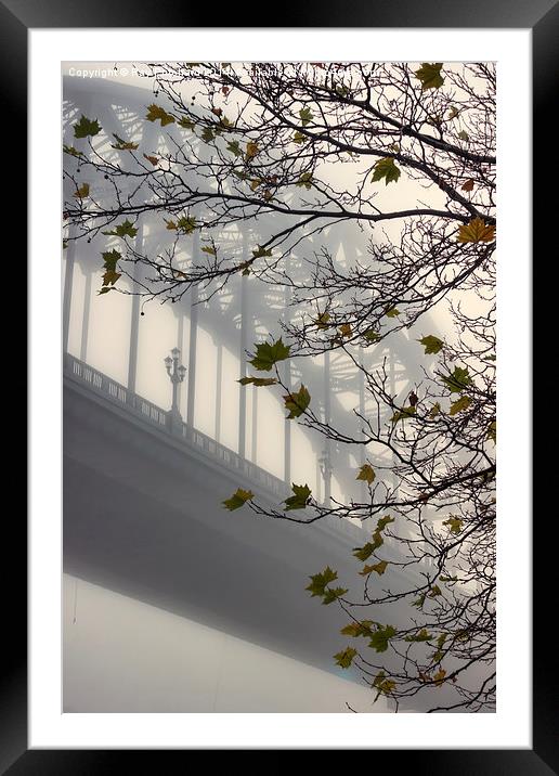  Tyne Bridge and Autumn Leaves Framed Mounted Print by Ray Pritchard