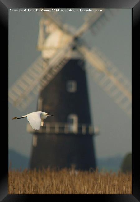  Little egret, big windmill Framed Print by Peter De Clercq