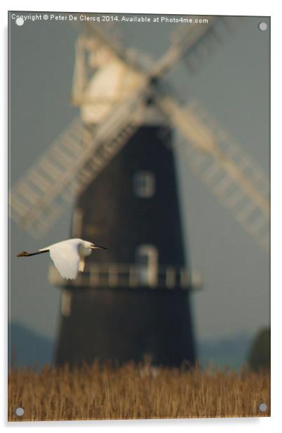  Little egret, big windmill Acrylic by Peter De Clercq
