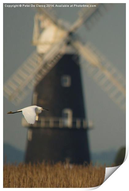  Little egret, big windmill Print by Peter De Clercq