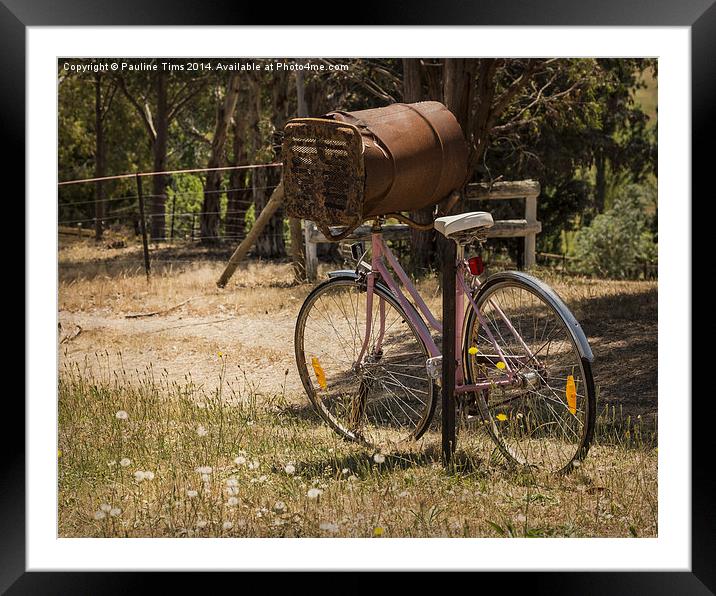  Aussie Mail Box Framed Mounted Print by Pauline Tims