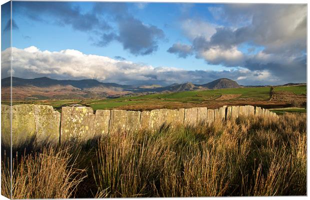  The Moelwyn Range Canvas Print by Rory Trappe