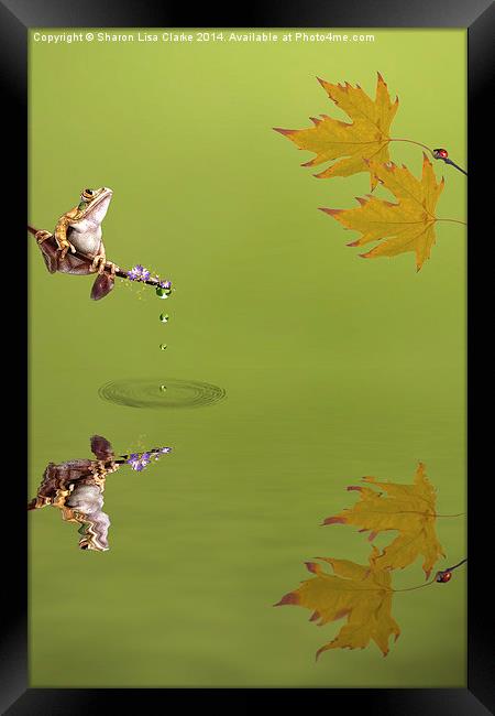  Frog Framed Print by Sharon Lisa Clarke
