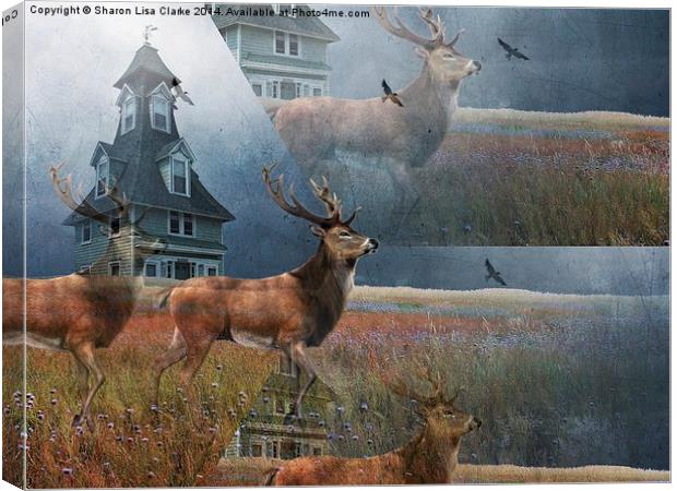  Illusion Stag Canvas Print by Sharon Lisa Clarke