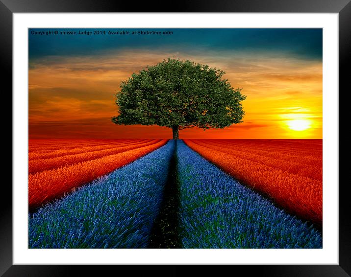  when the sun rises  Framed Mounted Print by Heaven's Gift xxx68