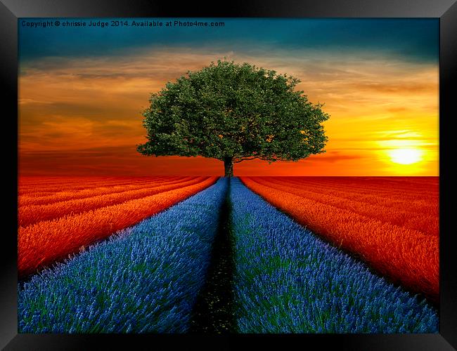  when the sun rises  Framed Print by Heaven's Gift xxx68