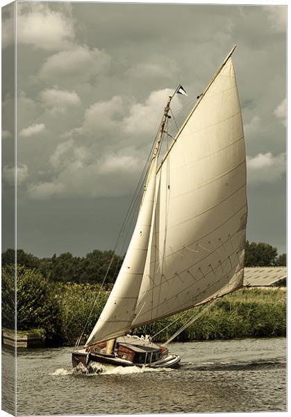 Yacht in full sail Canvas Print by Stephen Mole
